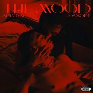 The Mood (Single) - Arin Ray, D Smoke