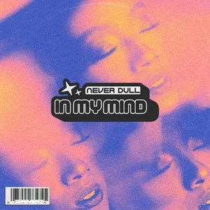 In My Mind (Single) - Never Dull