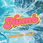 Nghe nhạc Numb (Single) - Marshmello, Khalid