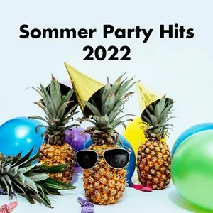 Sommer Party Hits 2022 - V.A