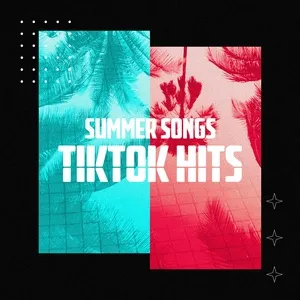 Summer Songs: Tik Tok Hits - V.A