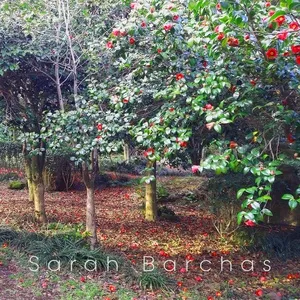 Tải nhạc Tales Of Love - Sarah Barchas