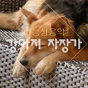 Nghe ca nhạc 강아지 자장가, 혼자 남겨진 반려견을 위한 기능성 음악 (강아지가 좋아하는 음악) - 반려동물