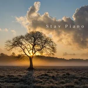 Nghe nhạc Stay with me (Single) - Stay Piano