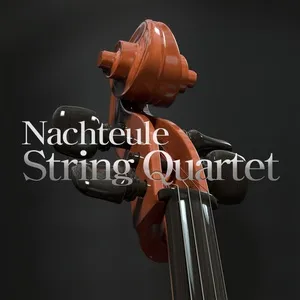 Nachteule String Quartet 1st Album 클래식 명곡 베스트 앨범 - Nachteule String Quartet