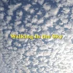 Walking In the Sky - Daniel Kim