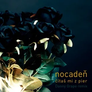 Nghe nhạc Citas mi z pier (Danny Grape Remix) - Nocaden