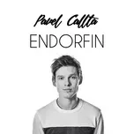 Ca nhạc Endorfin - Pavel Callta