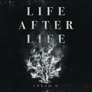 LIFE AFTER LIFE - Cream D