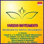 Ca nhạc Mahadeva Shiva Shambho - V.A