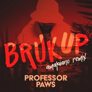Bruk Up (Amapiano Remix) - Professor Paws