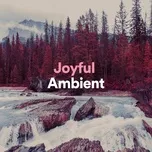 Joyful Ambient - Reiki Healing Consort, Reiki Tribe, Meditation Music