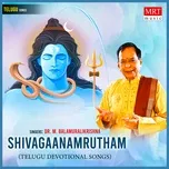 Ca nhạc Shivagaanamrutham - M. Balamuralikrishna