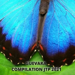 GUEVARA COMPILATION JTP 2021 - V.A
