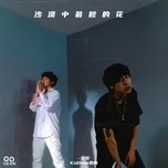 Ca nhạc 沙漠中最靓的花 (Single) - Lil Dou