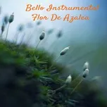 Bello Instrumental Flor De Azalea (Single) - Sonido Relajante - NhacCuaTui