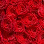 US - UK Singers Part 1