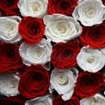 Korean Singers Part 2