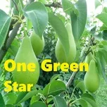 One Green  -  Star