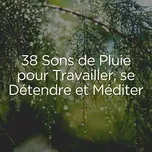 38 Sons de Pluie pour Travailler, se Détendre et Méditer  -  V.A