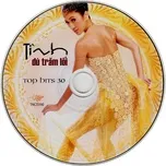 Tình Du Trăm Lối (Top Hits 30)
