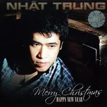 Merry Christmas - Happy New Year