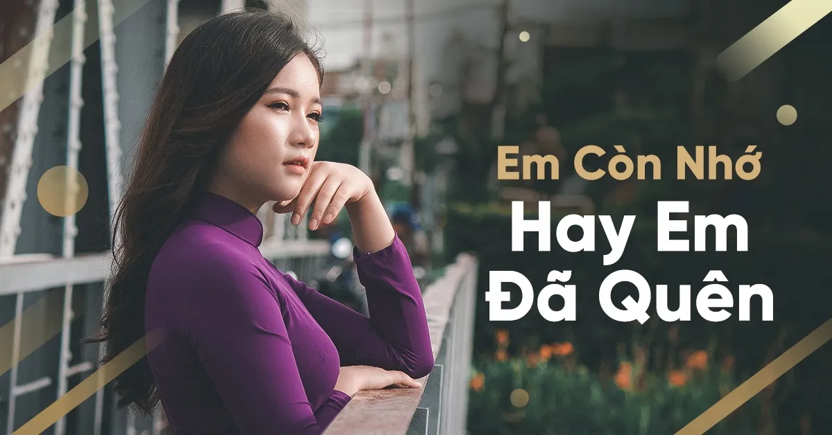 Em Còn Nhớ Hay Em Đã Quên - V.A