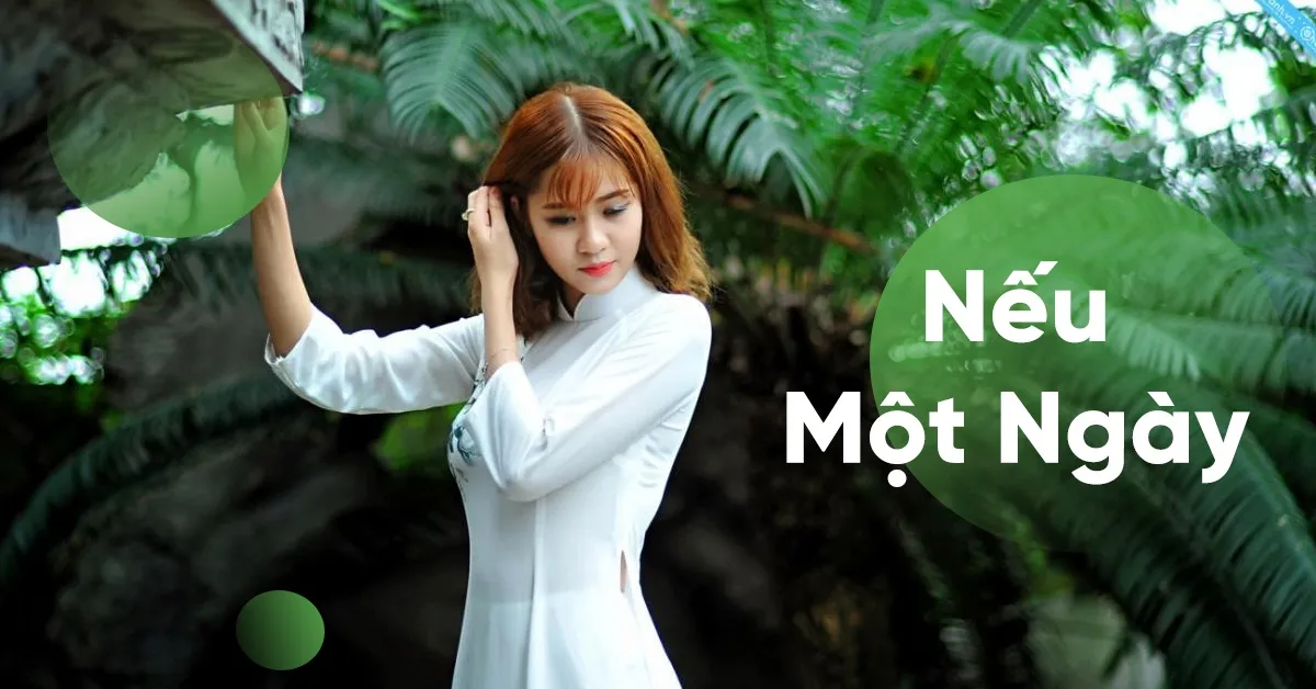 Ca nhạc Nếu Một Ngày - V.A