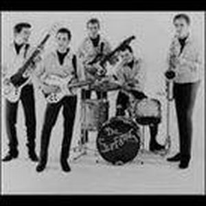 the surfaris