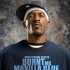 euphoria - rakim, busta rhymes, cocoa chanelle, jadakiss, styles p