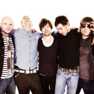 shed seven