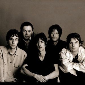 the verve