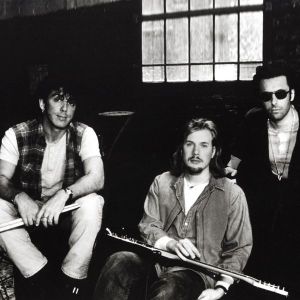 the jeff healey band