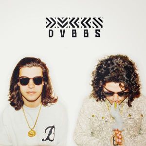 dvbbs