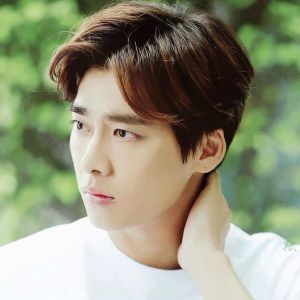 ly dich phong (li yi feng)