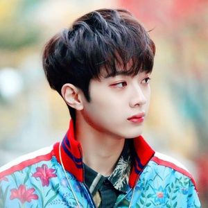 lai quan lam (lai kuan lin)