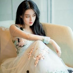 truong hinh du (viann zhang)