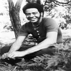 avatar ca sibill withers