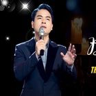 noi lai tinh xua - thien vu, duong hong loan