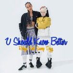 u should know better) (christian falk remix) - robyn