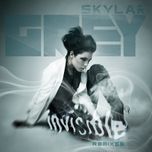 invisible (dirty south remix) - skylar grey