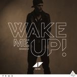 wake me up (edx miami sunset remix) - avicii