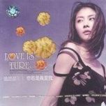  liu yi zhan deng - vuong kiet (dave wang)