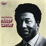 county jail(live) - muddy waters