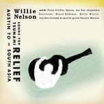 the great divide(live (2005/austin music hall)) - willie nelson