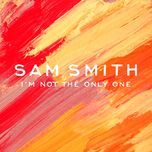 i'm not the only one(grant nelson remix) - sam smith