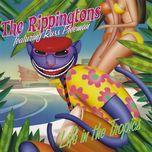 be cool(album version) - the rippingtons, dave koz