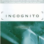 get into my groove(jazzanova regroove) - incognito