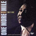rollin' stone(alternate take) - muddy waters