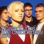 zombie(live from the feile festival/1994) - the cranberries